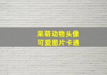 呆萌动物头像 可爱图片卡通